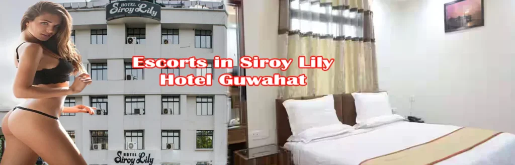 Escorts in Siroy Lily Hotel, Guwahati